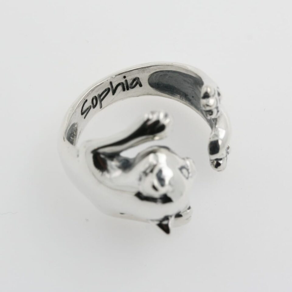 Anello gatto