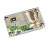 Diamante Eilat Shop online