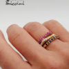 anelli_irregolari_ind