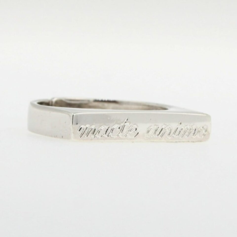 Anello Chevalier Sottile Personalizzabile inciso