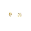 orecchini in argento dorato con zirconi