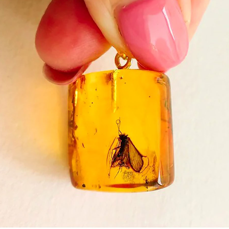 Anello ambra con insetto hotsell